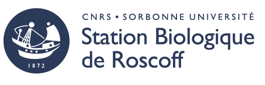 logo_sbr